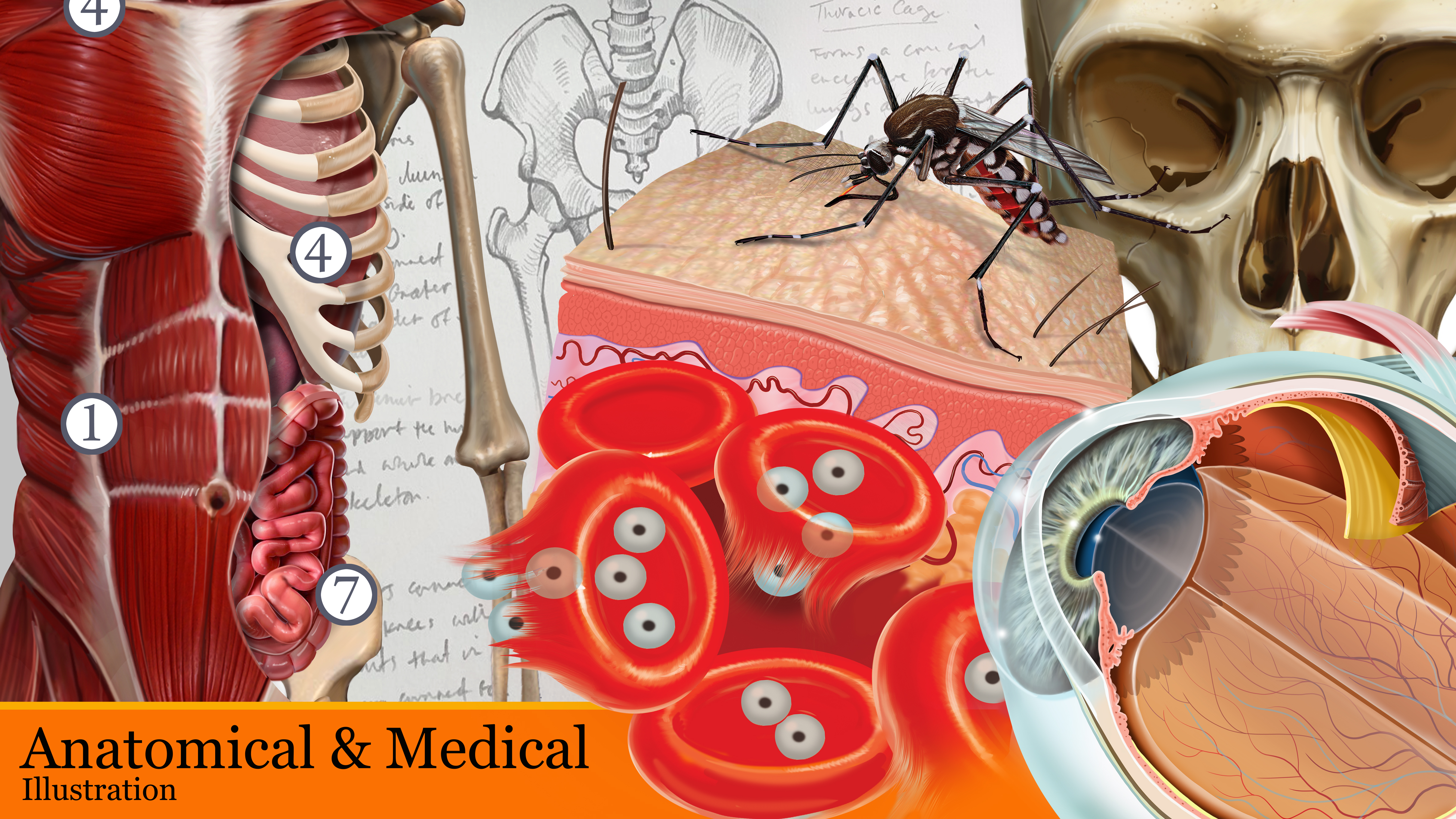 SCIENTIFIC AND MEDICAL